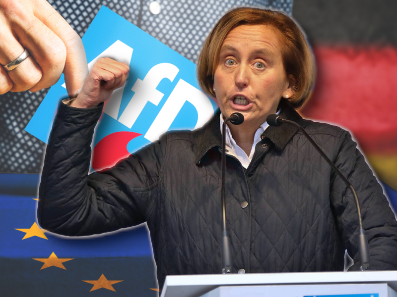 Europawahl: Die AfD spielt mit dem Feuer: „Ekelerregend“
