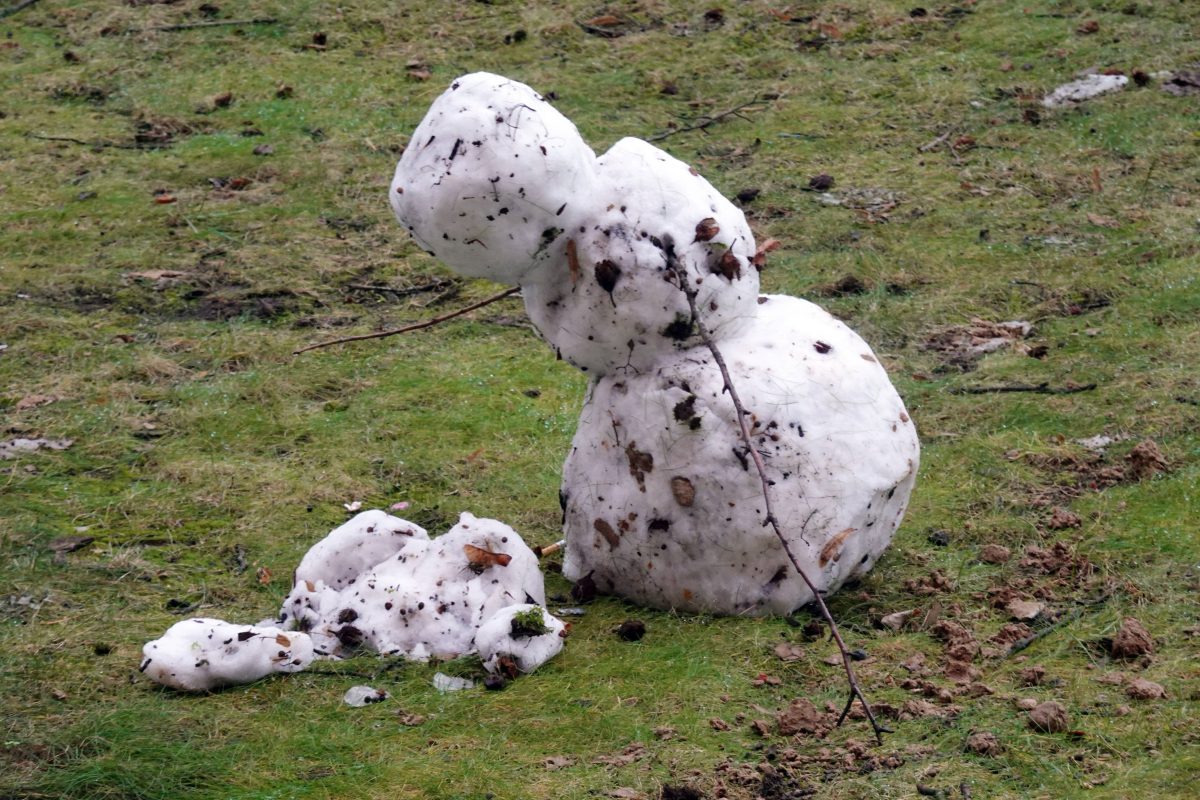 wetter thüringen, schmelzender Schneemann