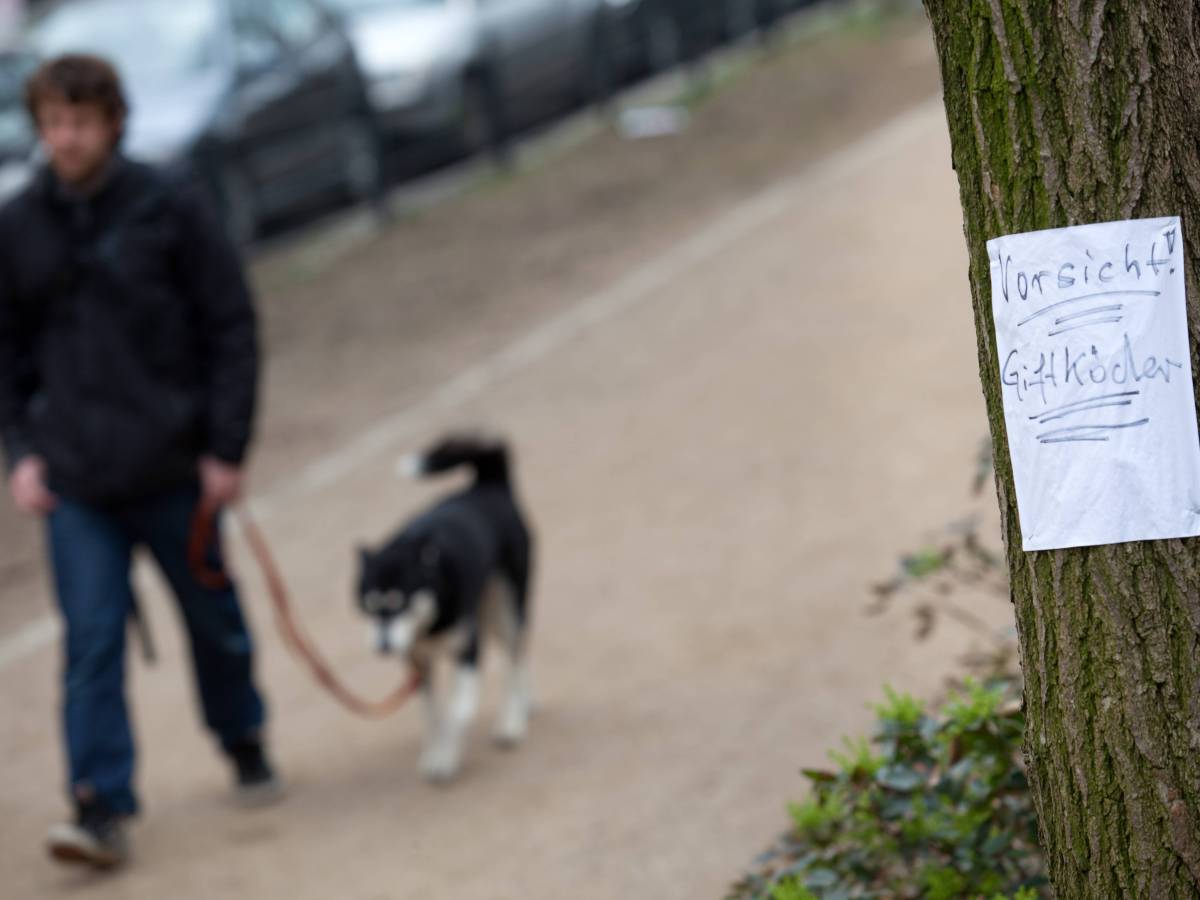 Ein Hund in Thüringen hat einen Giftköder entdeckt.