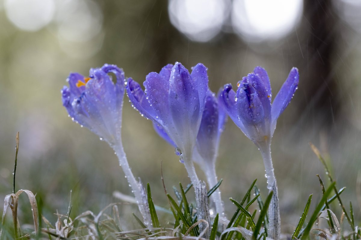 Wetter in Thüringen
