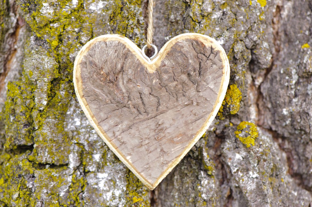 Grußkarte zum Valentinstag Grußkarte zum Valentinstag mit geschnitztem Herz am Baumstamm, Partnerwechsel im Zoo Leipzig (Symbolbild)