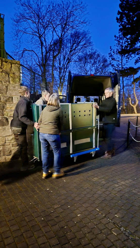 Transportkiste vom Zoo Leipzig wird in Erfurt verladen