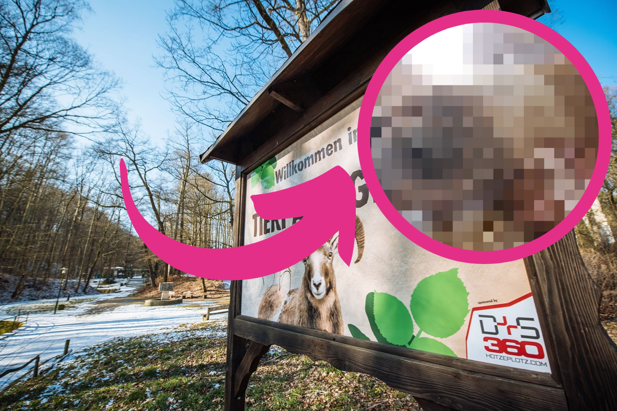 Der Tierpark Gera freut sich über viele neue Tierbabys.