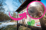 Der Tierpark Gera freut sich über viele neue Tierbabys.