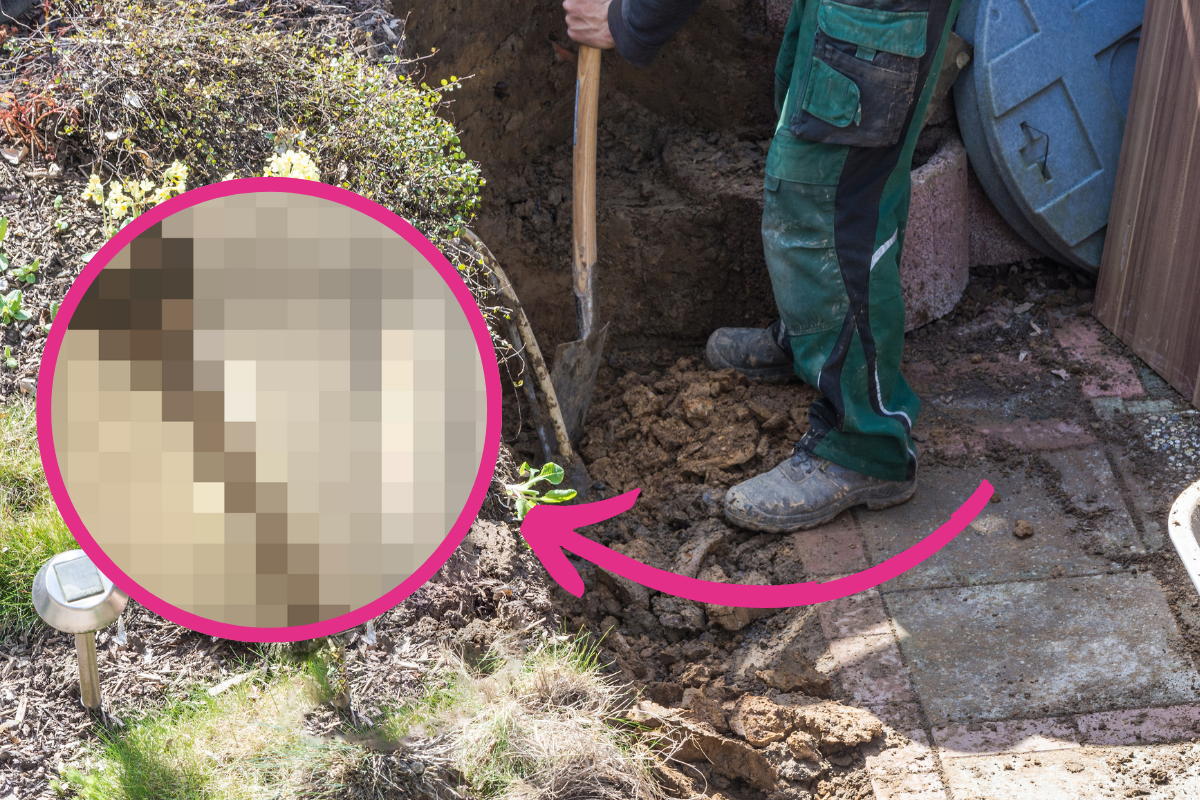 Schock-Fund auf einer Baustelle im Freistaat.