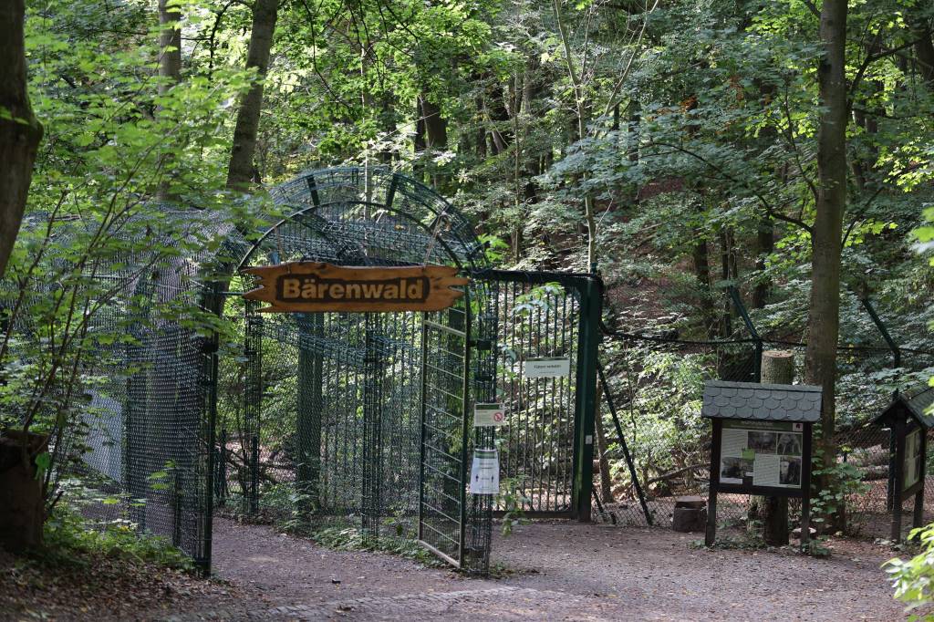 Eingang des Bärenpark Worbis im Wald