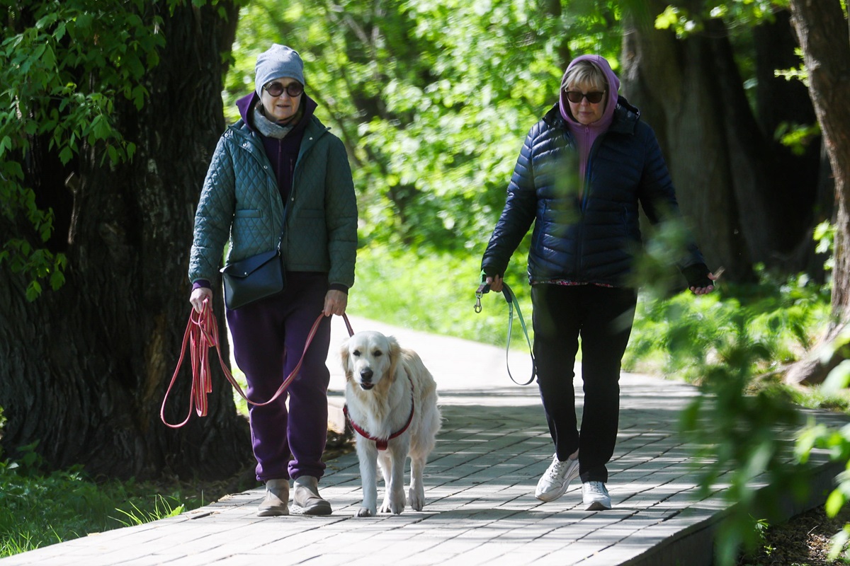Zwei Frauen auf einem Weg im Wald mit einem Hund