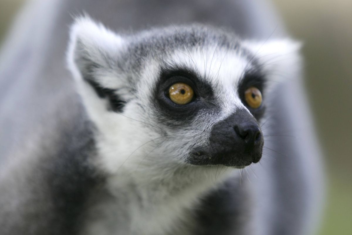 zoo-erfurt