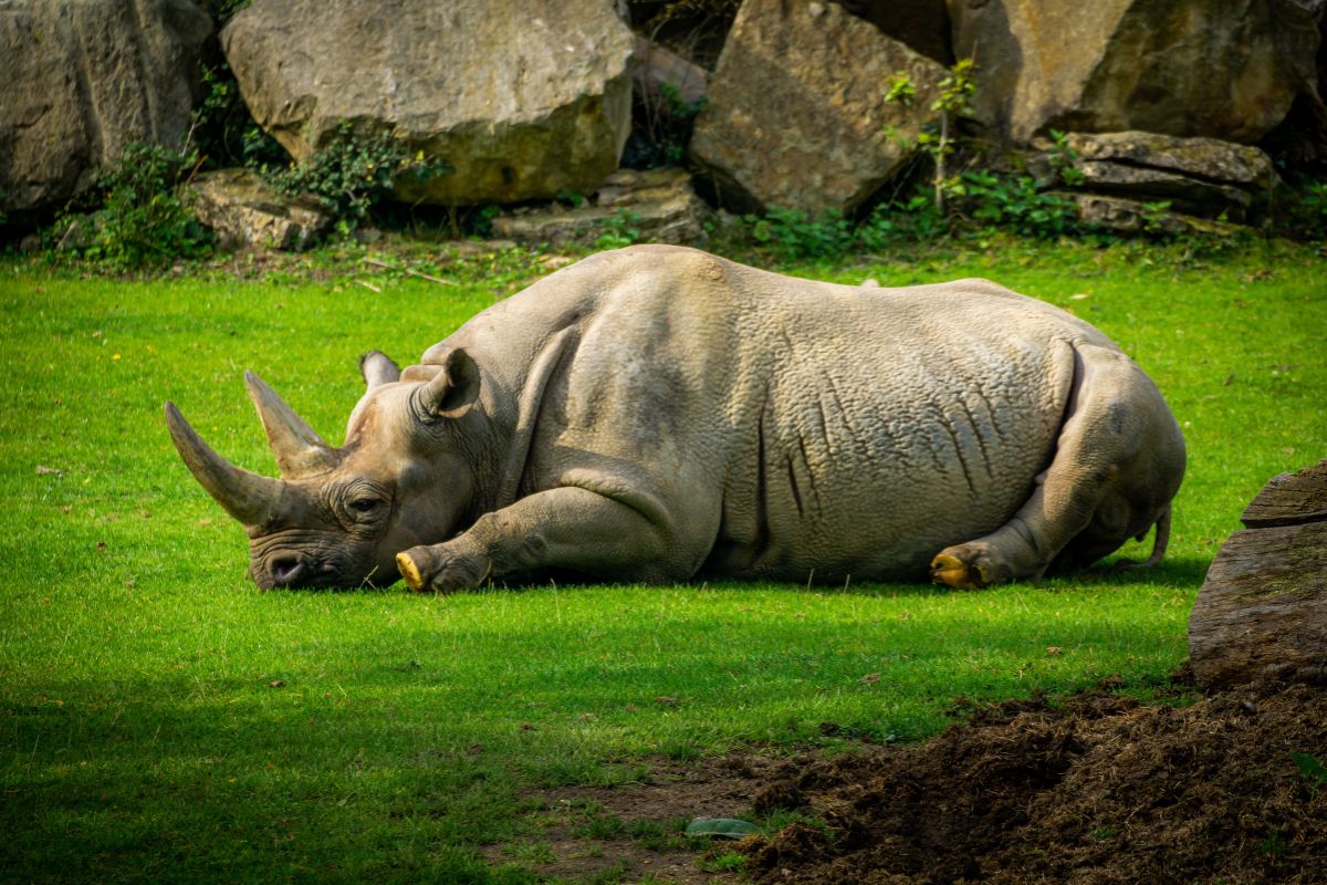 zoo-leipzig
