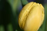 wetter-thueringen