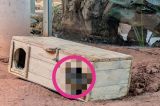 zoo-erfurt