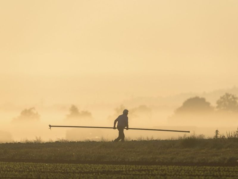 Wetter in Thüringen hat dramatische Folgen – „Gibt nichts, was wir noch machen können“