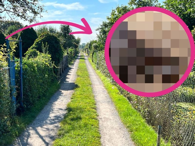 Thüringen: Unfassbare Entdeckung im Kleingarten! Tierschützer fallen aus allen Wolken