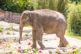zoo-leipzig