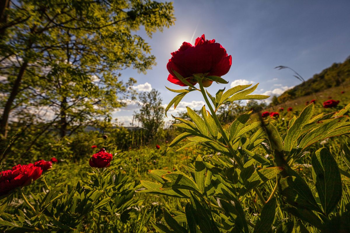 wetter-thueringen