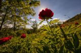 wetter-thueringen