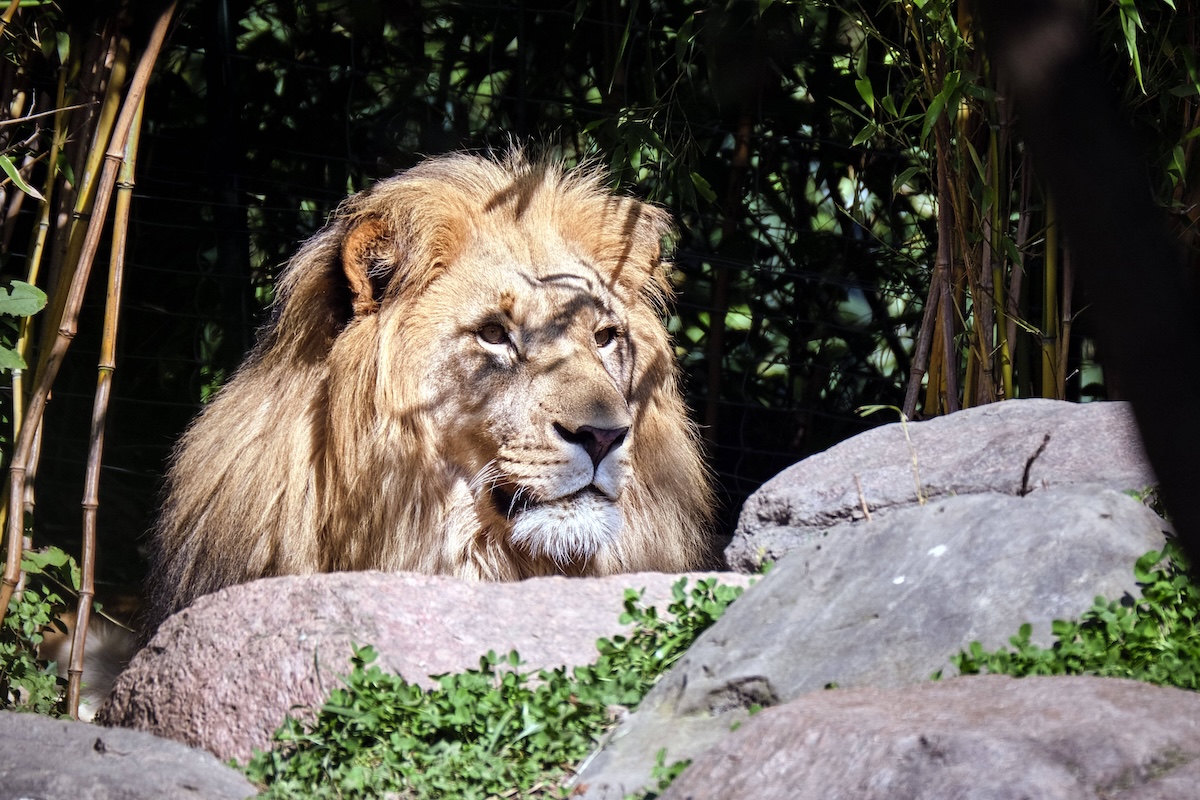 zoo leipzig