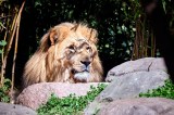 zoo leipzig