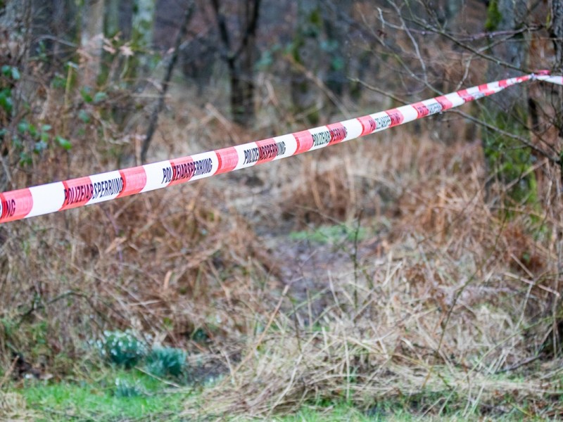 Thüringen: Nach Horror-Fund auf Hof – weitere Kadaver aufgetaucht