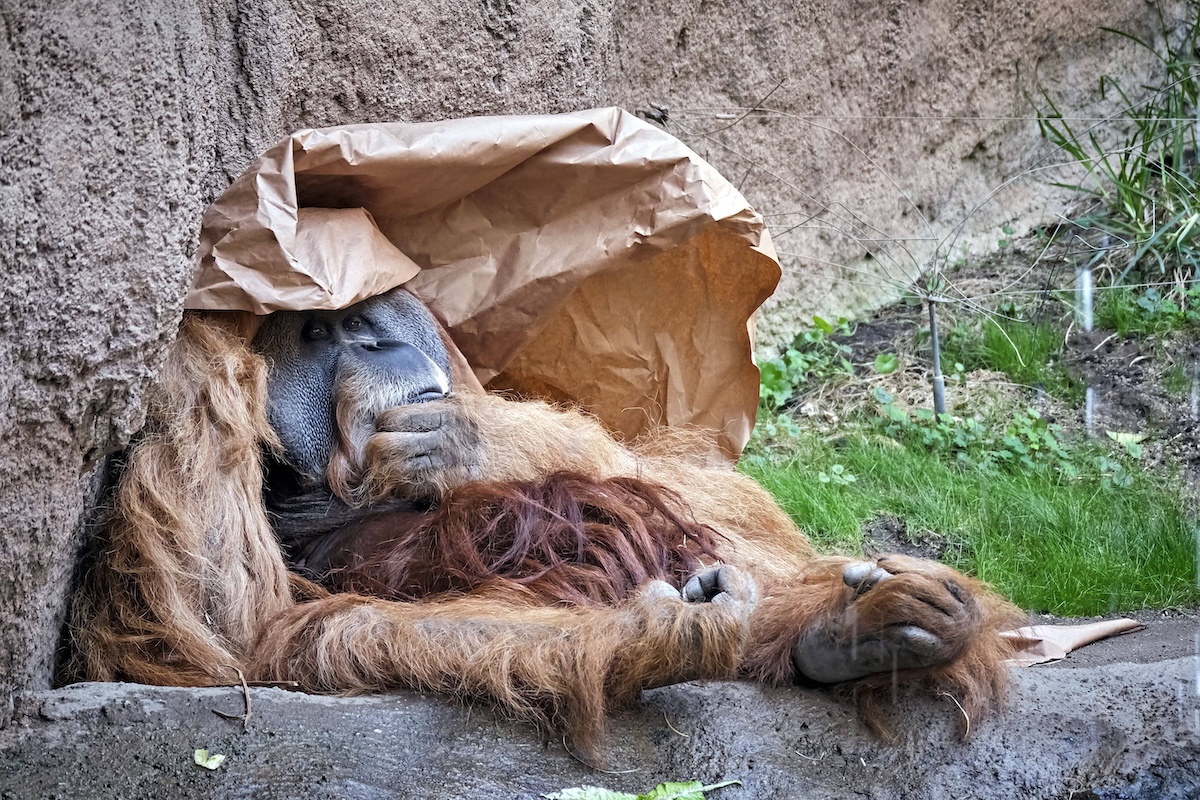 Zoo Leipzig