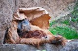 Zoo Leipzig