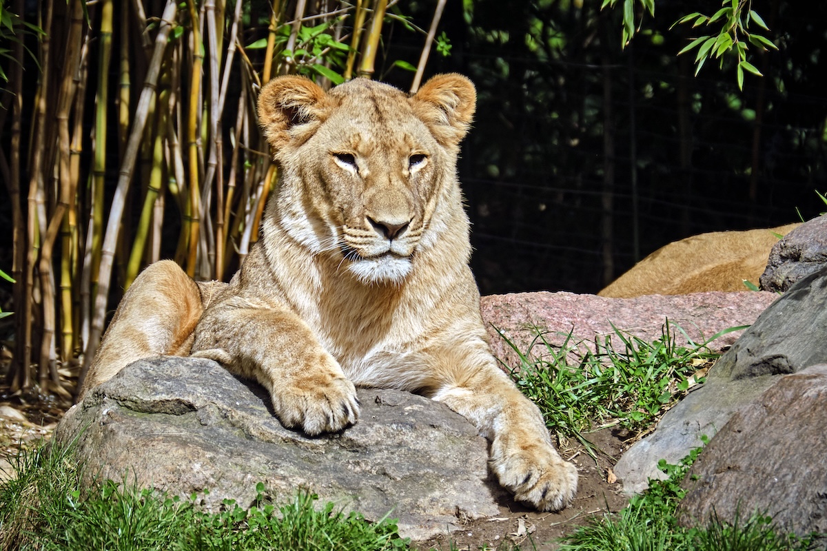 Zoo Leipzig