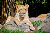 Zoo Leipzig