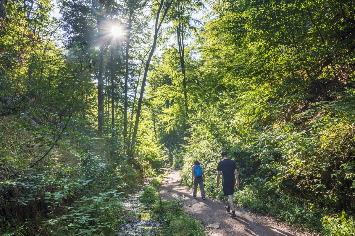 Th-ringer-Stadt-mit-den-Nerven-am-Ende-Besucher-sorgen-f-r-Dauerstress