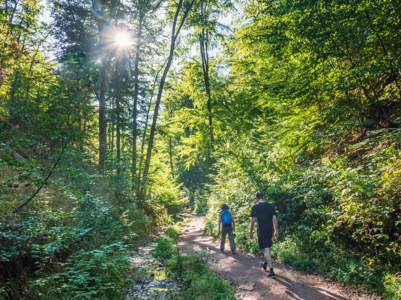 Thüringer Stadt mit den Nerven am Ende – Besucher sorgen für Dauerstress
