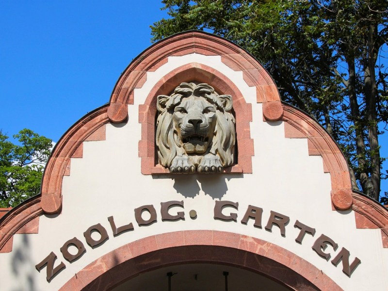 Zoo Leipzig: Extrem giftig! Pfleger müssen besonders vorsichtig sein – „Hat schon gebissen“