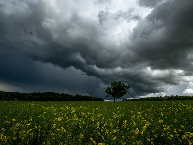 Wetter in Thüringen: Meteorologe mit bitterer Prognose! „Sehr, sehr unangenehm“