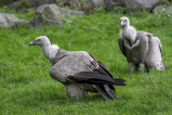 Zoo Leipzig
