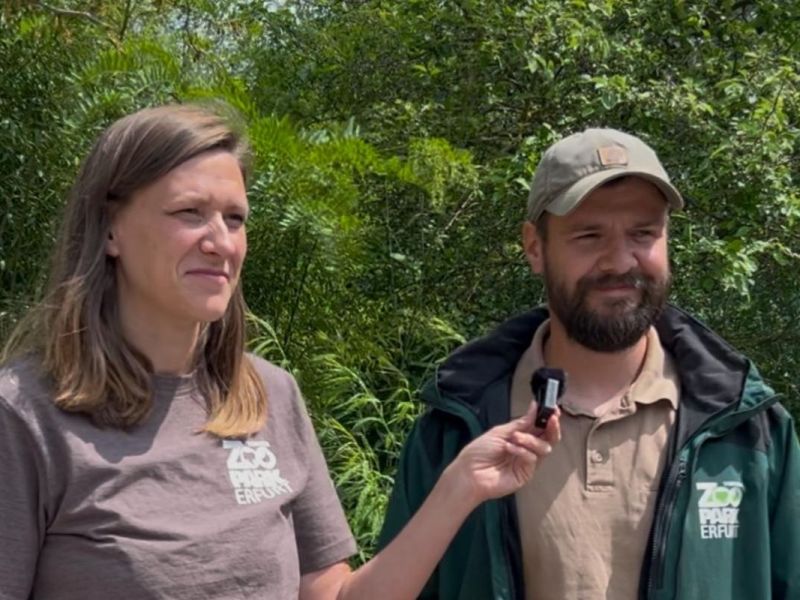 MDR im Zoo Erfurt: Dreh unterbrochen! Plötzlich gibt es einen Tier-Notfall