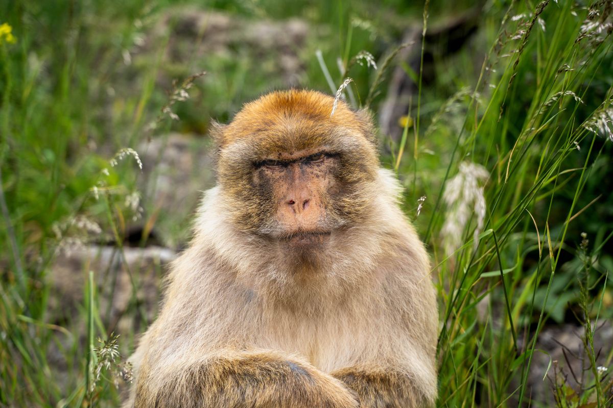 zoo-erfurt