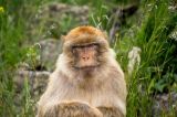 zoo-erfurt