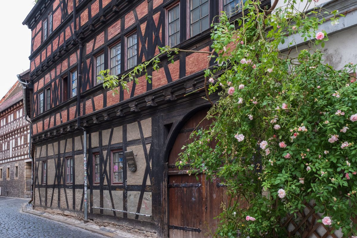 erfurt