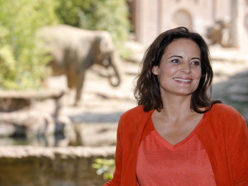 Zoo Leipzig: Kurz nach der Ausstrahlung von „Tierärztin Dr. Mertens“ können es alle sehen