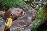 zoo leipzig