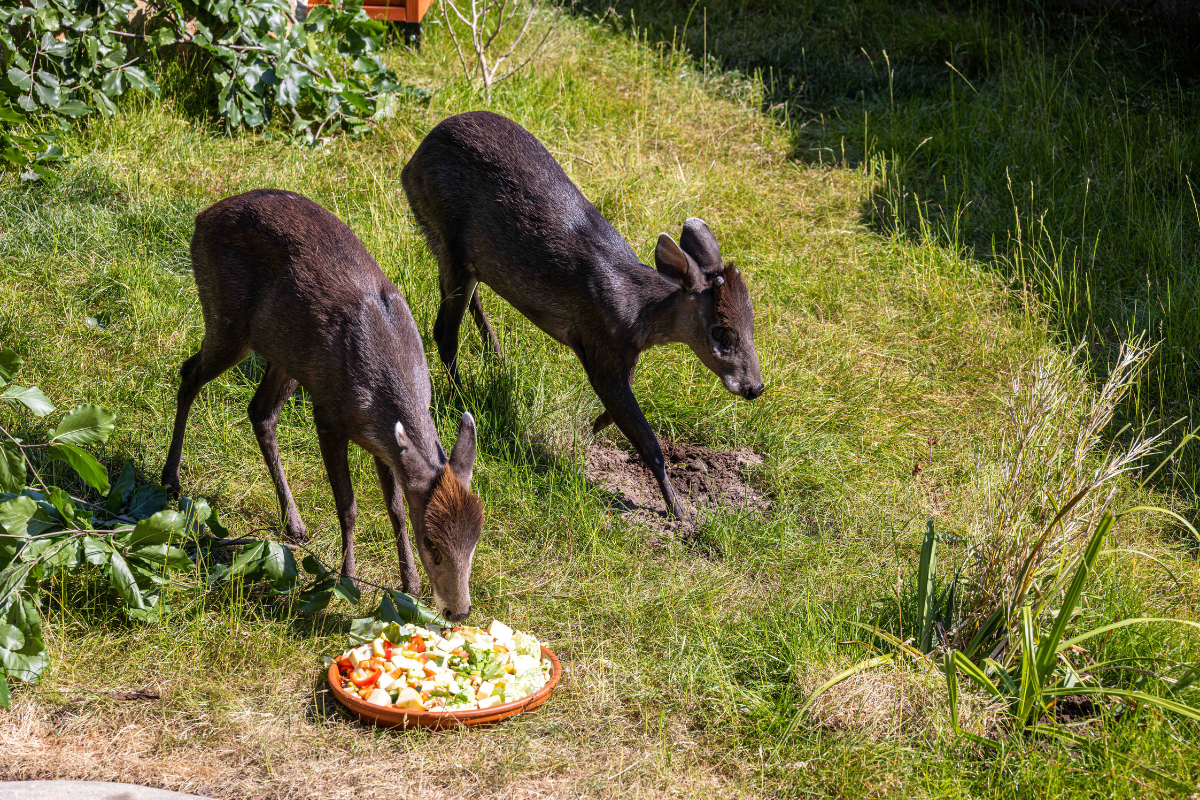 Zoo Leipzig