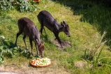 Zoo Leipzig