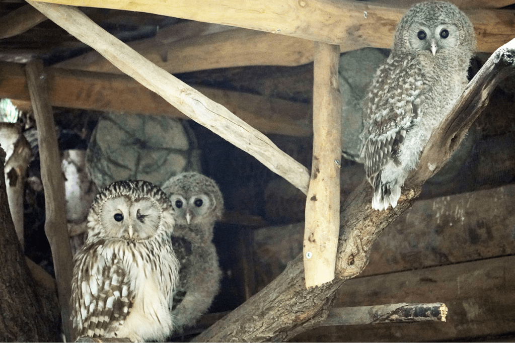 Zoo Leipzig