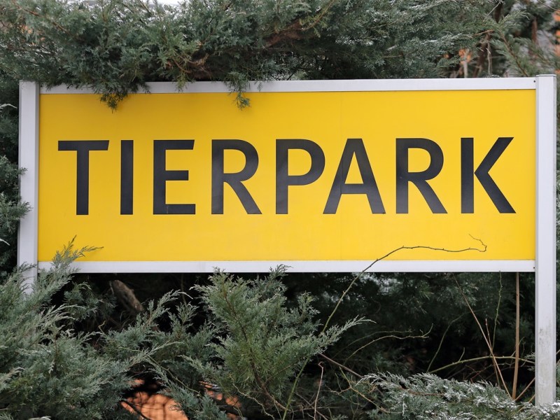 Ein Zoo im Osten kann sein Glück kaum fassen! „Das erste seit mehreren Jahren“