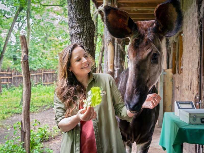 Zoo Leipzig: Neue Staffel „Tierärztin Dr. Mertens“? ARD lässt erste Infos durchsickern
