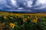 wetter thüringen