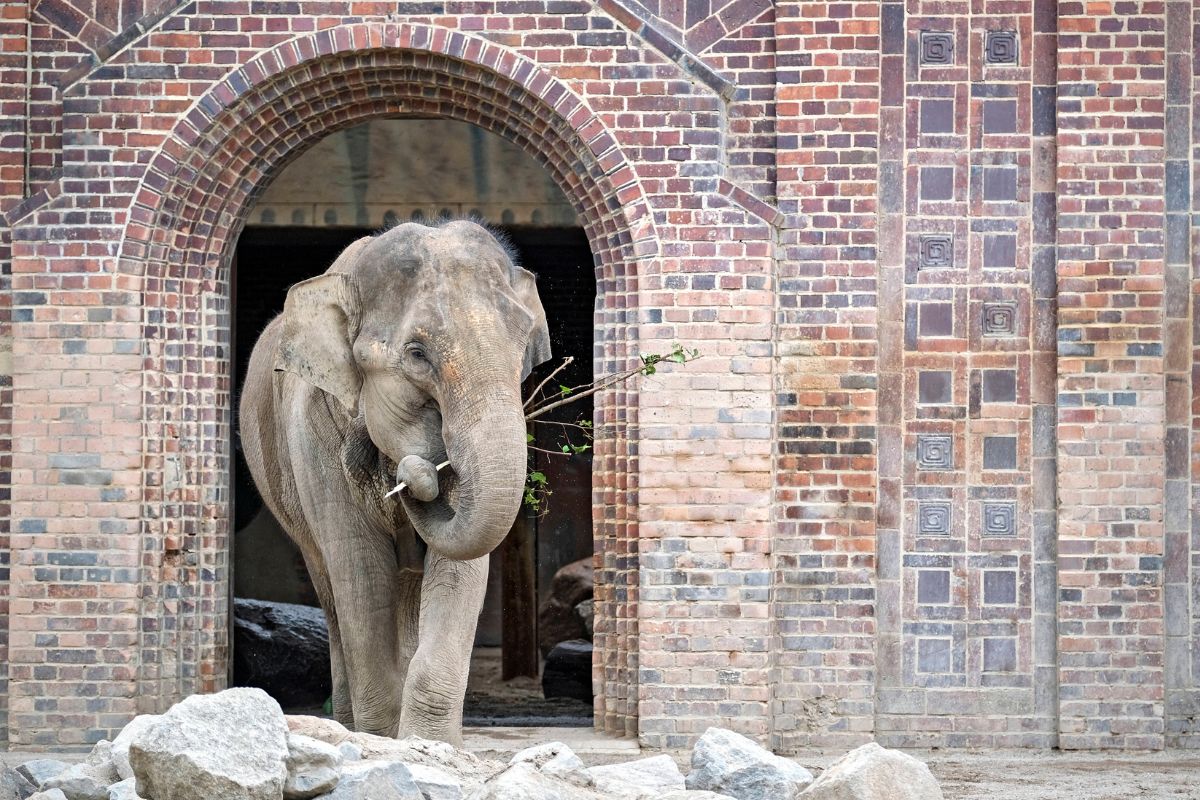 zoo-leipzig