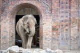 zoo-leipzig