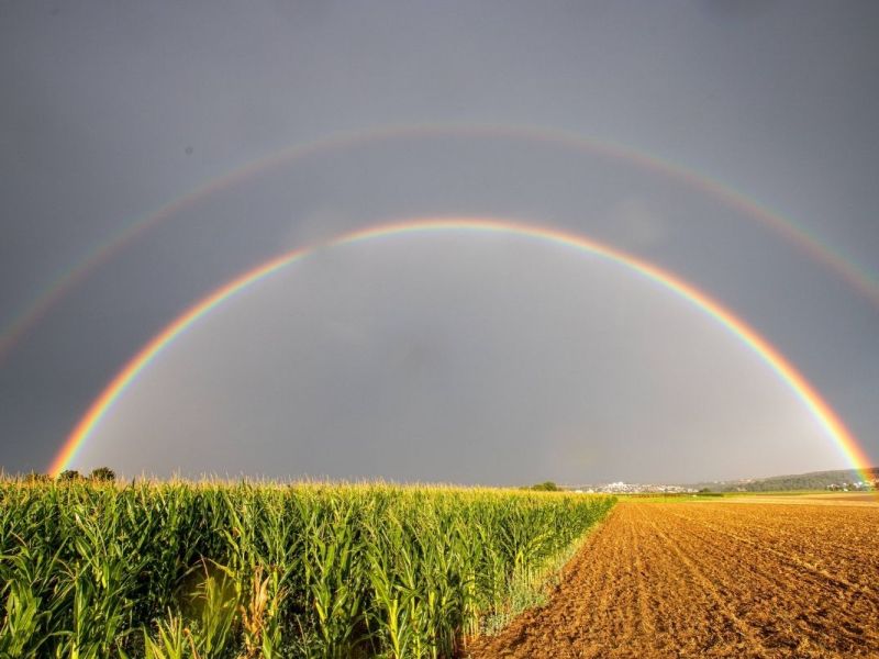 Sommer-Comeback in Thüringen? Wetter-Experte wird deutlich