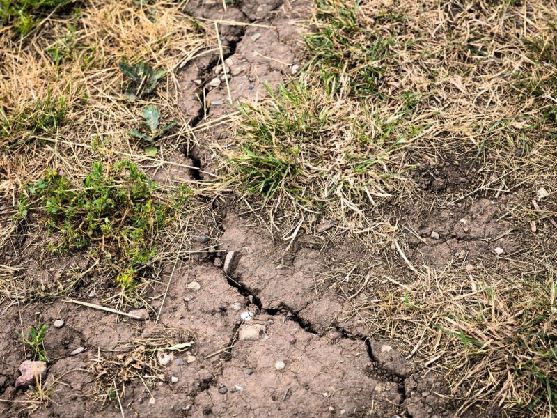 Alles vorbei mit dem Hitze-Wetter? Die Juli- und August-Prognosen werden für Thüringen deutlich
