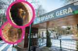 tierpark-thueringen
