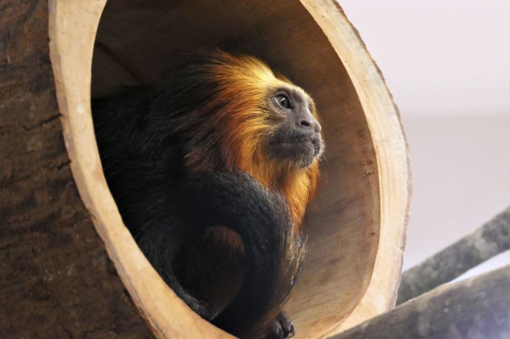 tierpark-thueringen